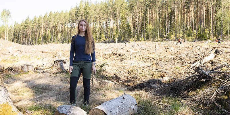 Inna Salminen står vid ett avverkat område. I bakgrunden syns två personer som planterar träd.