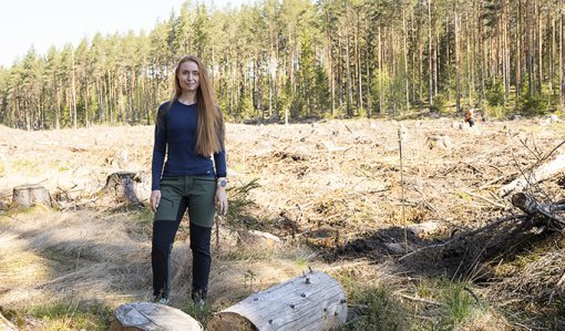 Inna Salminen står vid ett avverkat område. I bakgrunden syns två personer som planterar träd.