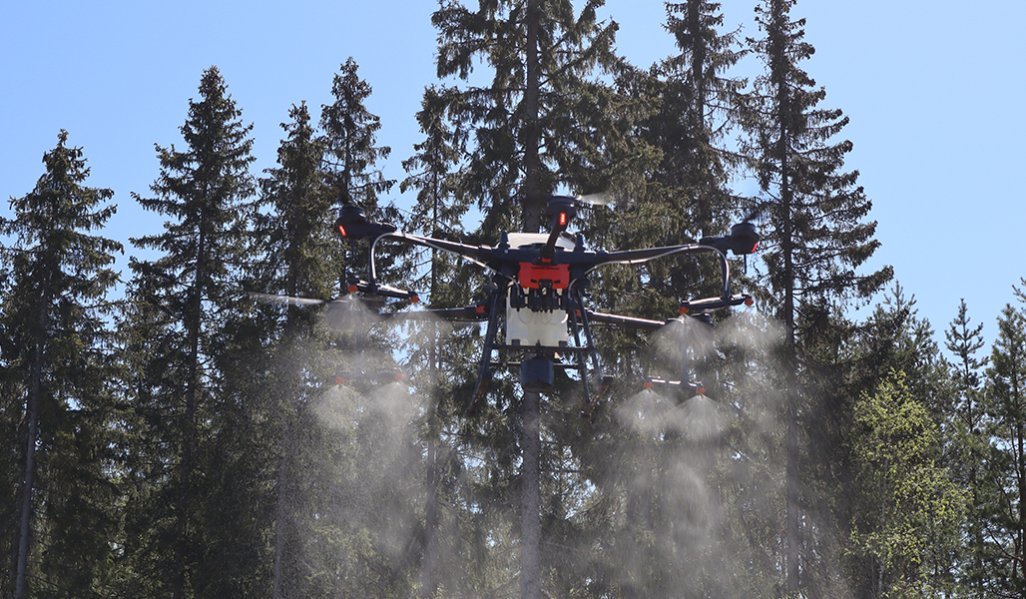 Drönaren sprider ut borgödselmedel. 