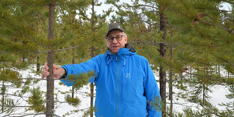 Viljami Kurth bland bestånd med tallplantor på vintern.