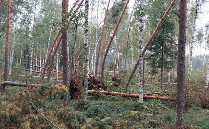 Förbered dig på vindskador och stormar – 3 tips