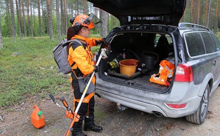 En ung företagare som trivs i sitt arbete – skogen är en livsstil