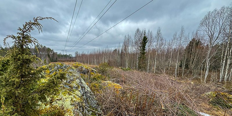 Under ellinjen finns viltsnår, berg och enar.  