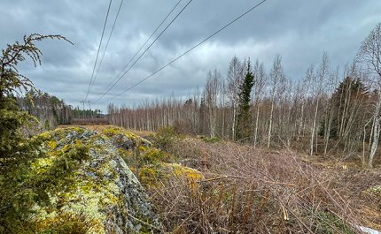 Det lönar sig att utnyttja marken under elledningarna