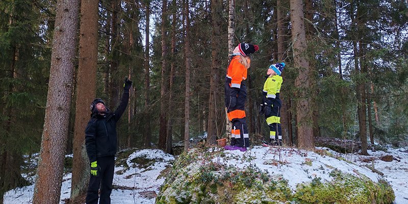 En man och två barn tittar på träd. 
