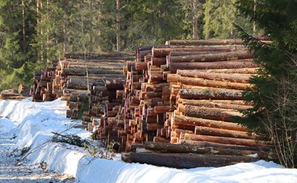 Vägavgifterna är en del av kostnaderna för skogsbruket