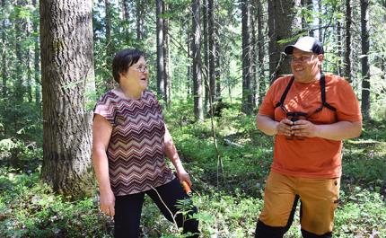 Skydda skogen med hjälp av en skogsexpert