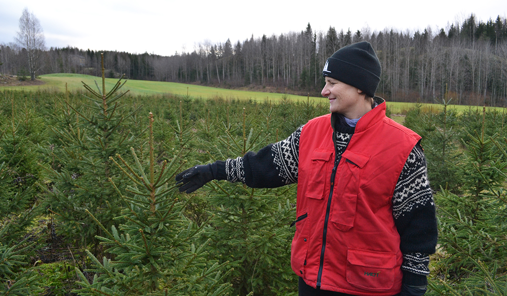 Madeleine Nyman på julgransodlingen.