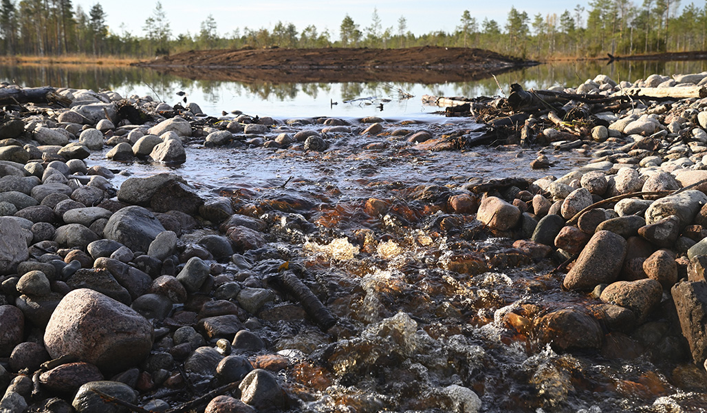 Vattnet rinner över grunddammen som består av samlade stenbumlingar. 