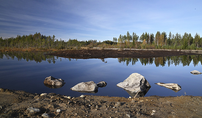 Pitkäneva våtmarkslandskap 