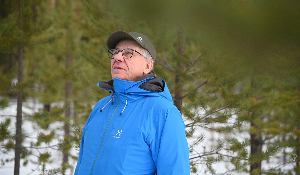 Viljami Kurth bland bestånd med tallplantor på vintern.