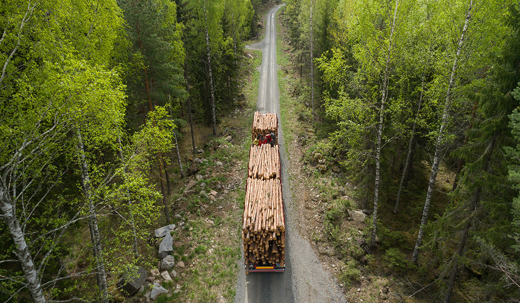 Virkesbil på skogsvägen sommartid. 