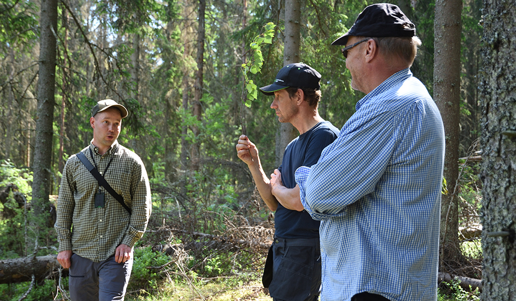 Juho Kokkonen, Jukka Harju och Aki Hostikka diskuterar i skogen.