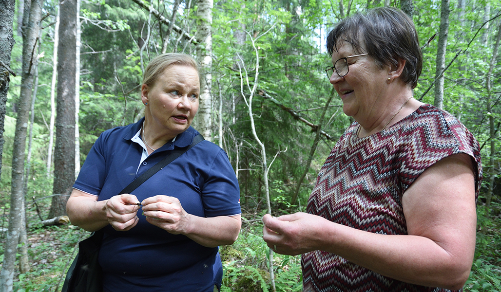 Riitta Raatikainen och Raija Hämäläinen i lundskogen.